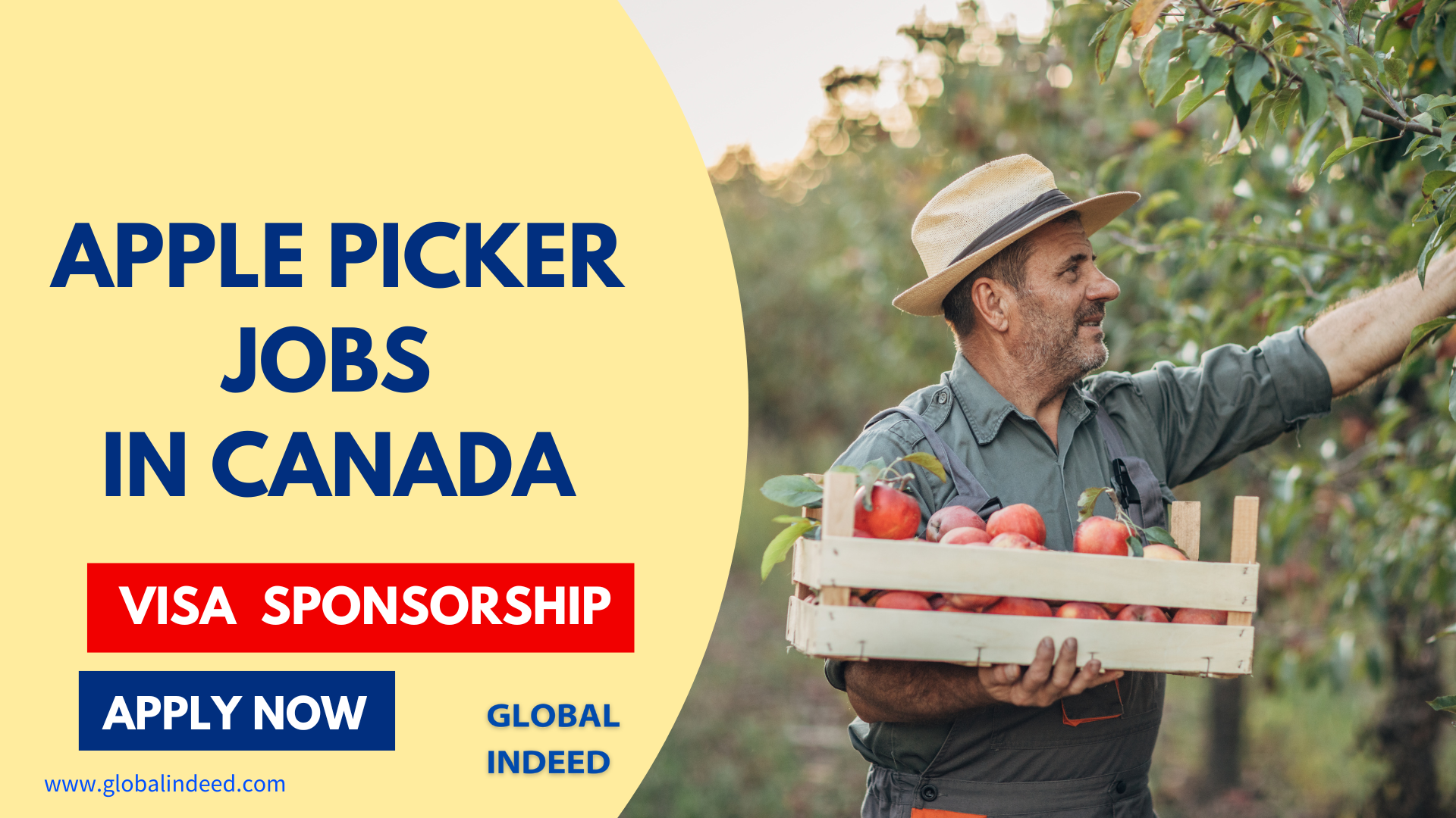 Apple Picker Jobs in Canada for Foreigners 2024