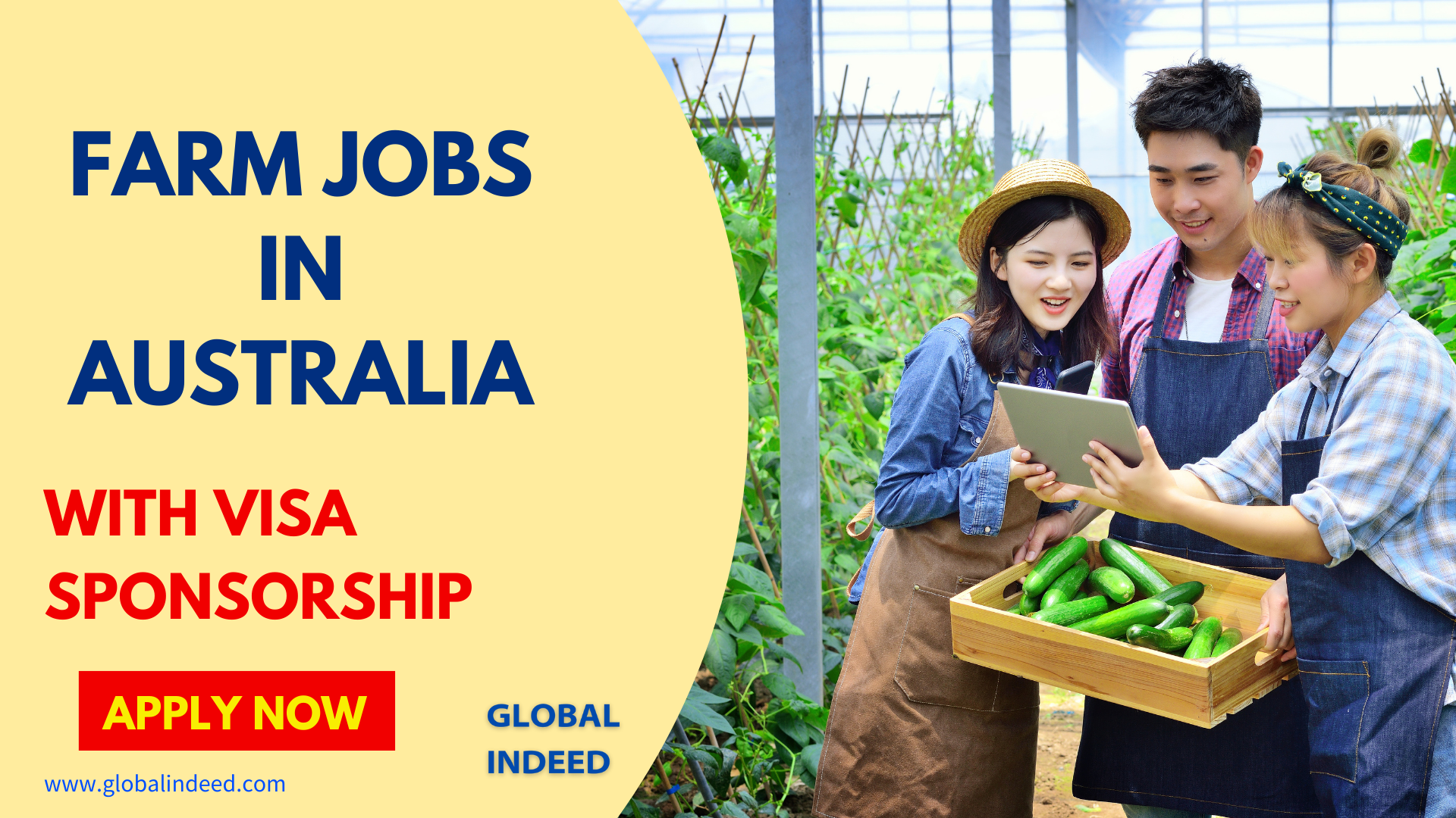 Farm Jobs in Australia with Visa Sponsorship