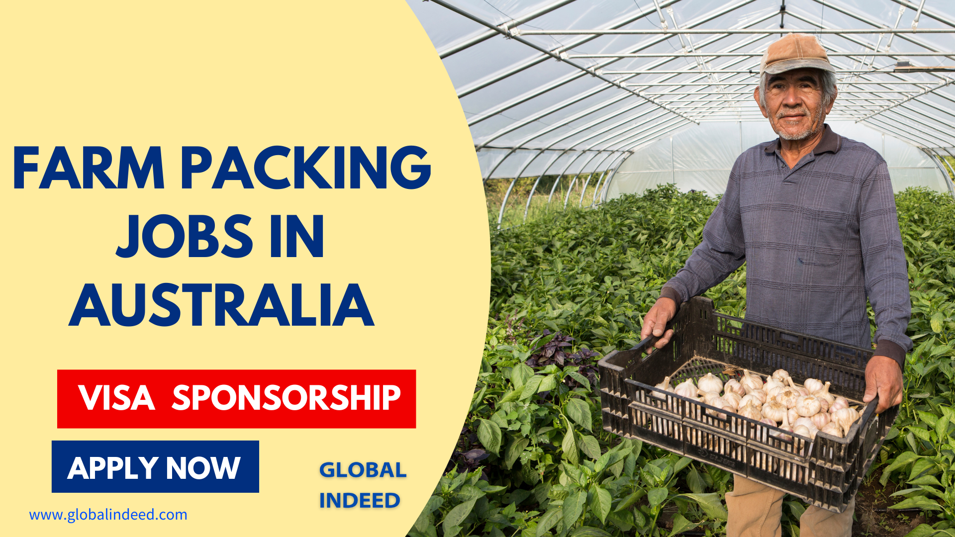 Farm packing jobs in Australia with visa sponsorship