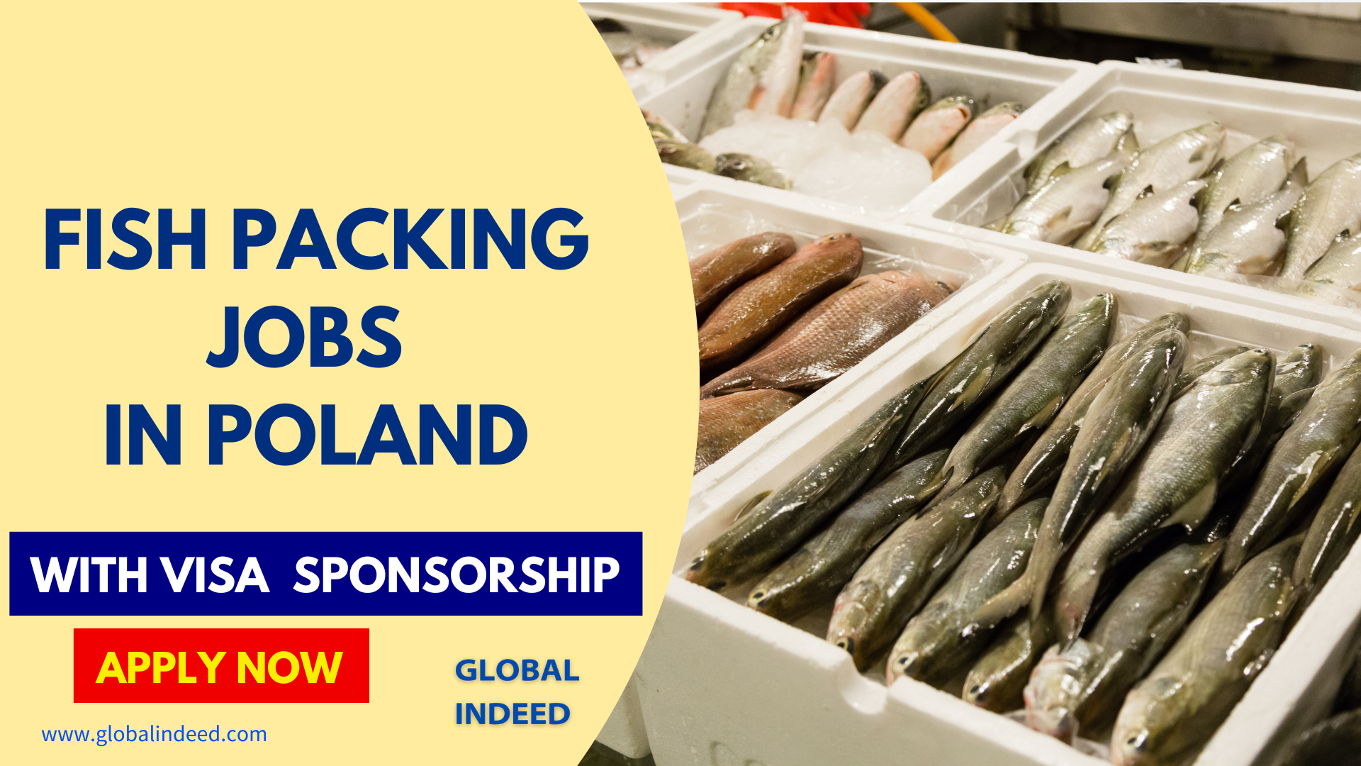 Fish Packing Jobs in Poland