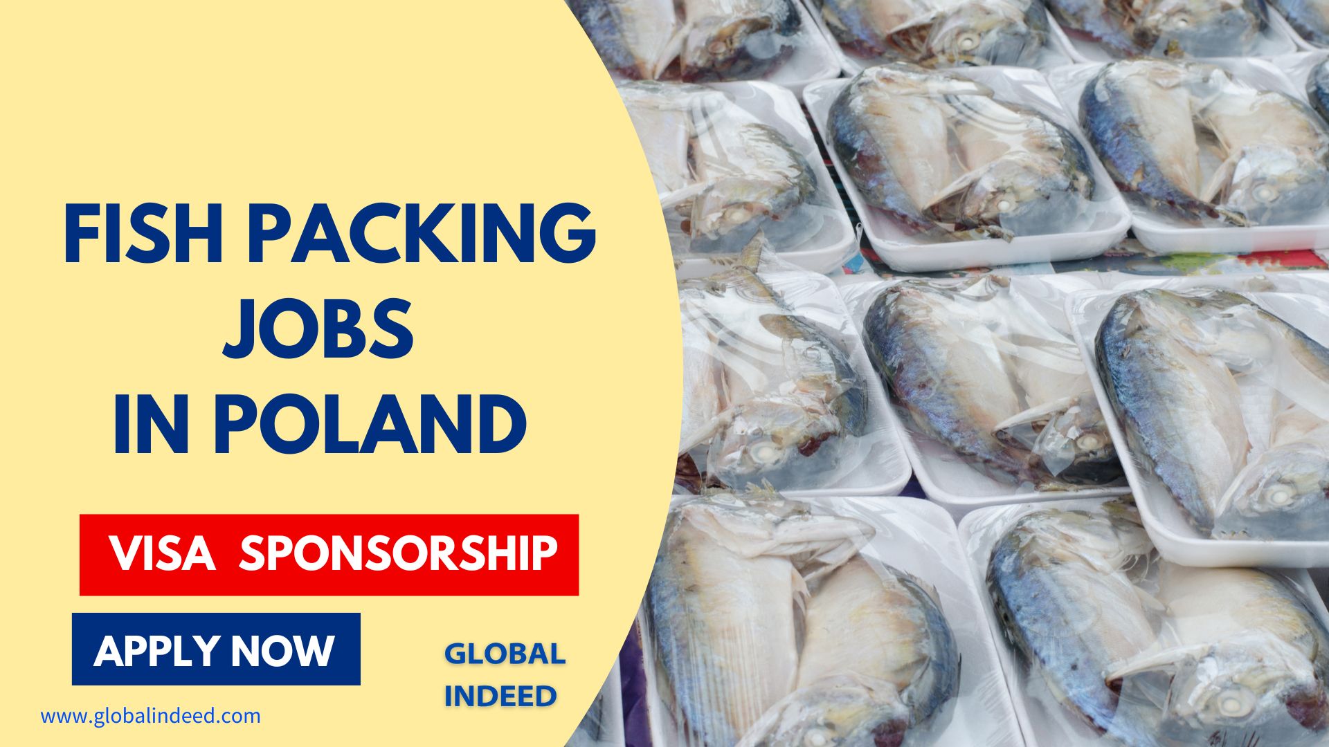 Fish Packing Jobs in Poland with Visa Sponsorship