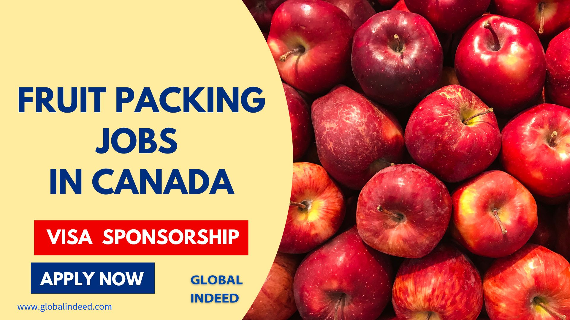 Fruit Packing Jobs in Canada with Visa Sponsorship 2024