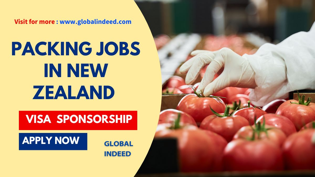 Packing Jobs in New Zealand with Visa Sponsorship 2024